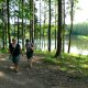 <p>Lanškrounské rybníky, pohled na rybník z lesního vycházkového okruhu</p>